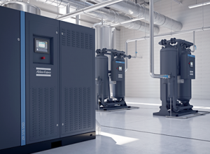 Hướng dẫn phiên họp giao ban